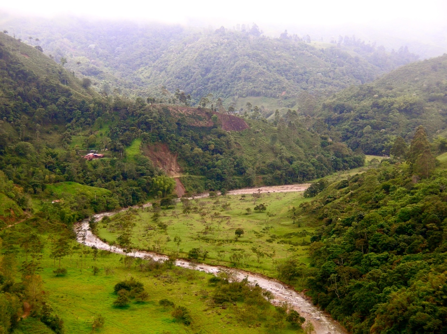 Quindio river valley, Colombia